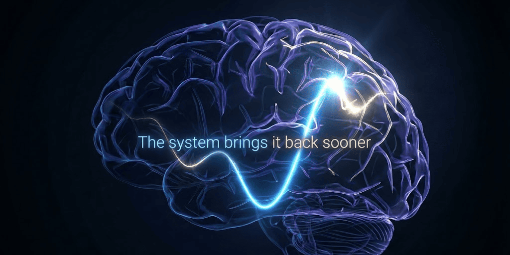 Curva del olvido de Ebbinghaus: por qué olvidas las palabras y cómo evitarlo